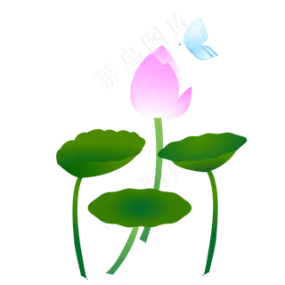荷花荷叶矢量素材