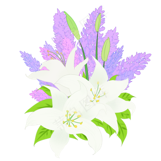花卉花丛薰衣草百合元素