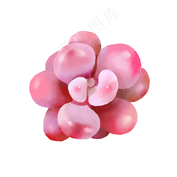 小清新水彩多肉植物5,免抠元素