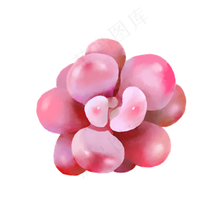 小清新水彩多肉植物5,免抠元素