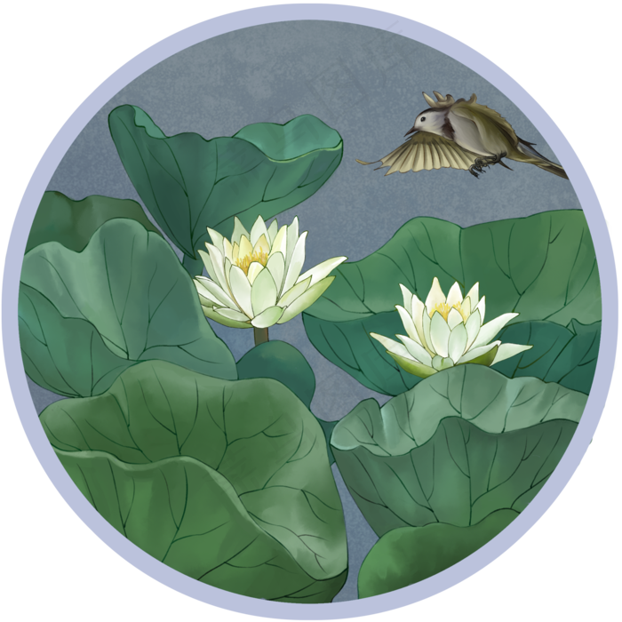 工笔花鸟白睡莲古风花卉植物,免抠元素
