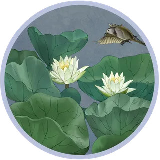 工笔花鸟白睡莲古风花卉植物,免抠元素