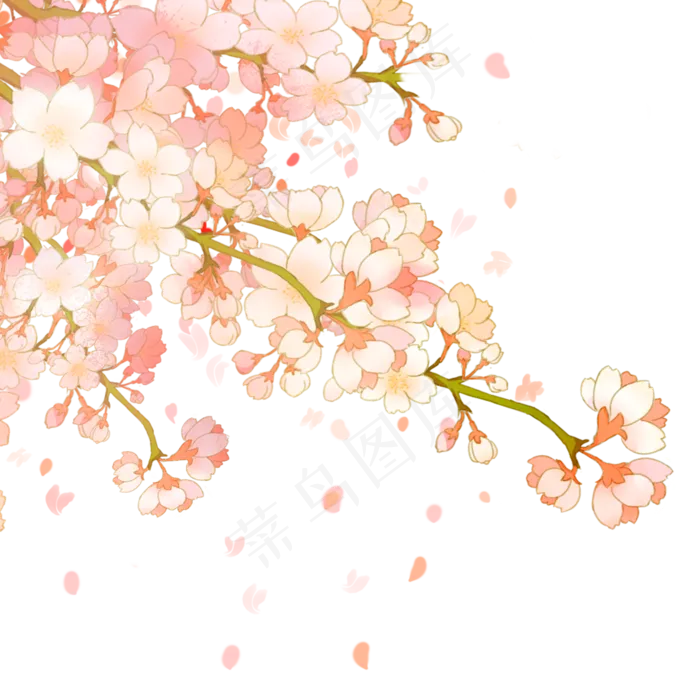 樱花花朵(2000*2000px 300 dpi )psd模版下载