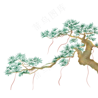 古典松树中国风,免抠元素