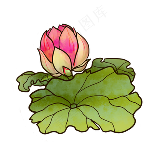 手绘水墨荷花
