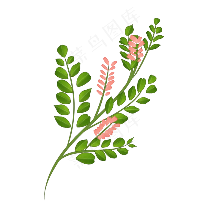 中药甘草实物插图免抠(2000*2000px 300 dpi )psd模版下载