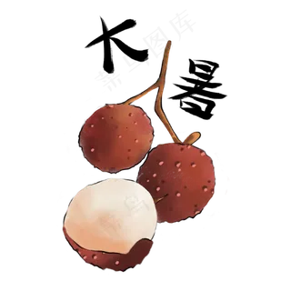 夏天大暑节气荔枝