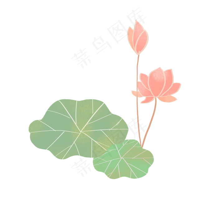荷花夏天绿色免抠元素(3000X3000(DPI:132))psd模版下载