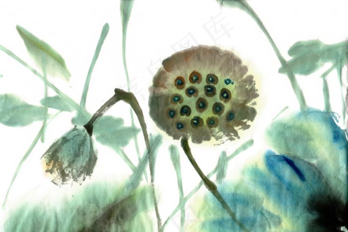 莲蓬水墨画PNG免抠素材