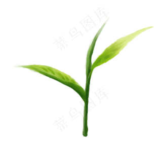 绿色仿真新鲜嫩茶叶,免抠元素