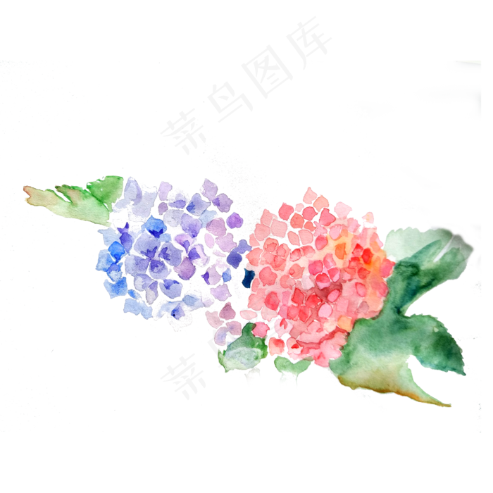绣球花紫色水红花卉花朵PNG