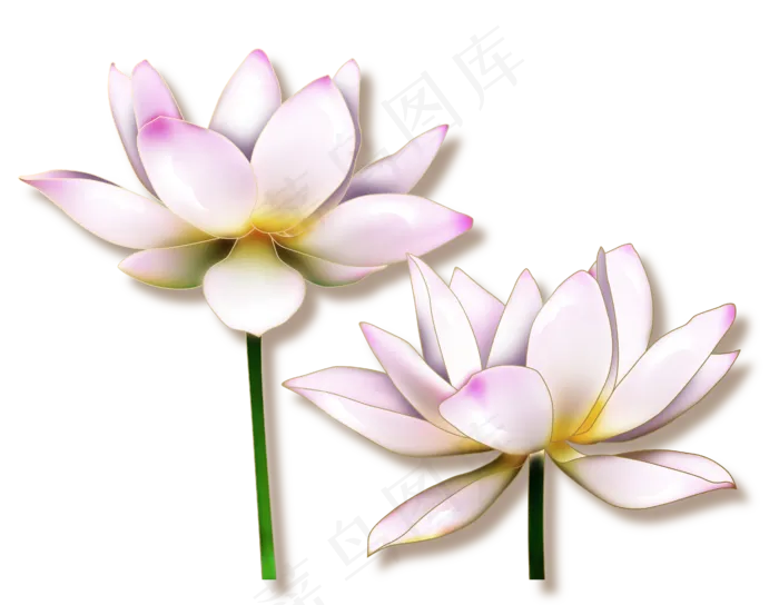 清新的秀气的荷花(4339X3373(DPI:300))psd模版下载