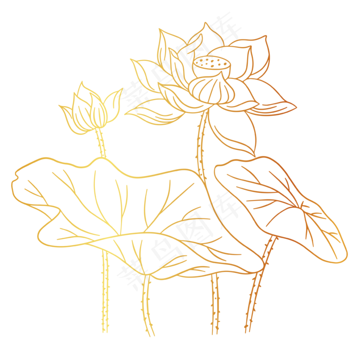 烫金荷花莲叶花卉素材