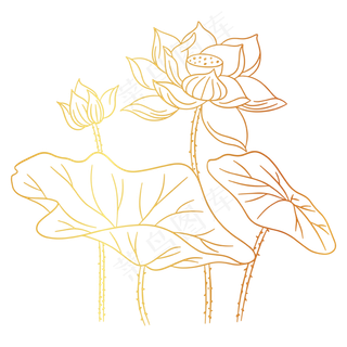 烫金荷花莲叶花卉素材