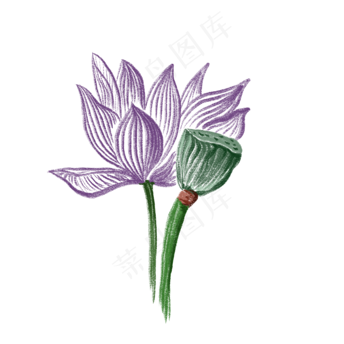 一朵荷花一株莲蓬装饰免抠插图
