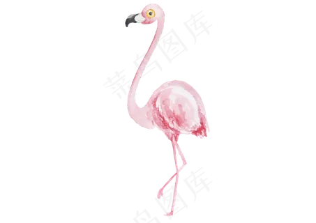 水彩粉色高雅的火烈鸟