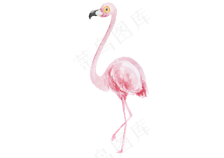水彩粉色高雅的火烈鸟