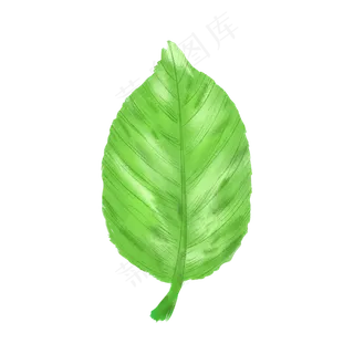 春天绿色水彩树叶