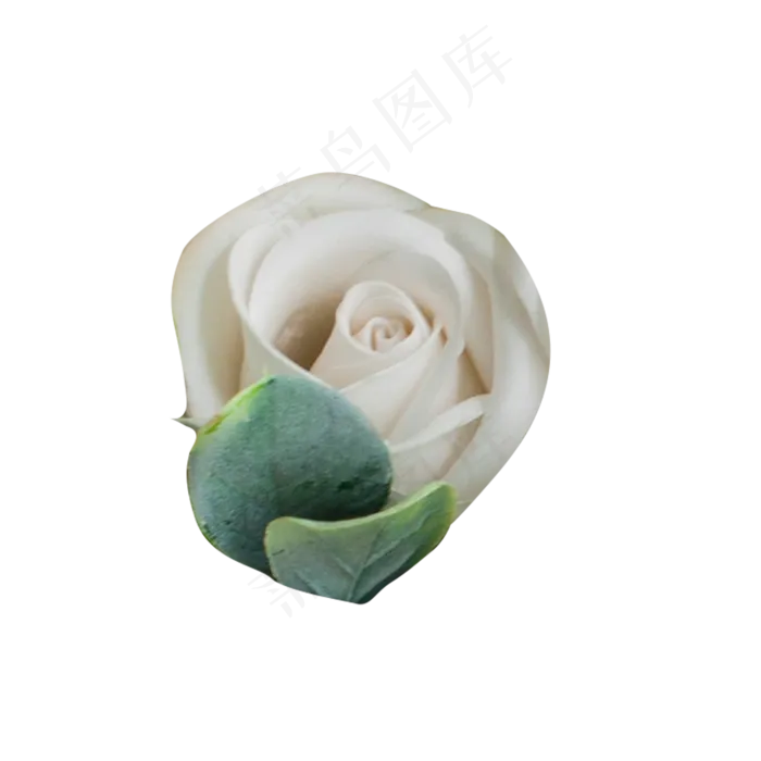 一朵精美的情人节玫瑰花素材(2000X2000(DPI:300))psd模版下载