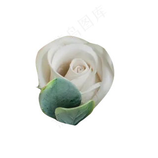 一朵精美的情人节玫瑰花素材