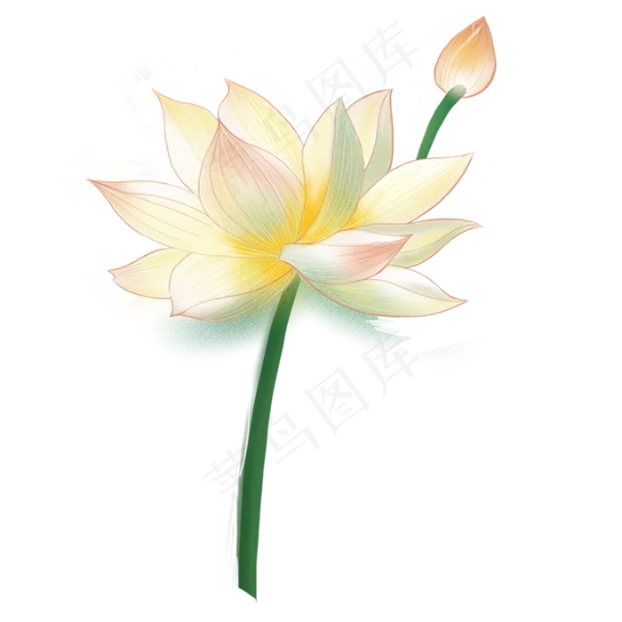 一个精美漂亮的荷花免扣素材(2000X2000(DPI:300))psd模版下载
