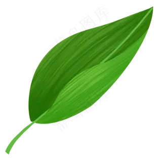 端午节叶子粽叶装饰图片