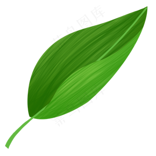 端午节叶子粽叶装饰图片
