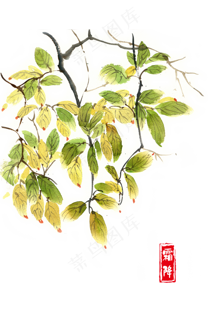 霜降秋天的叶子(4724X7087(DPI:300))psd模版下载
