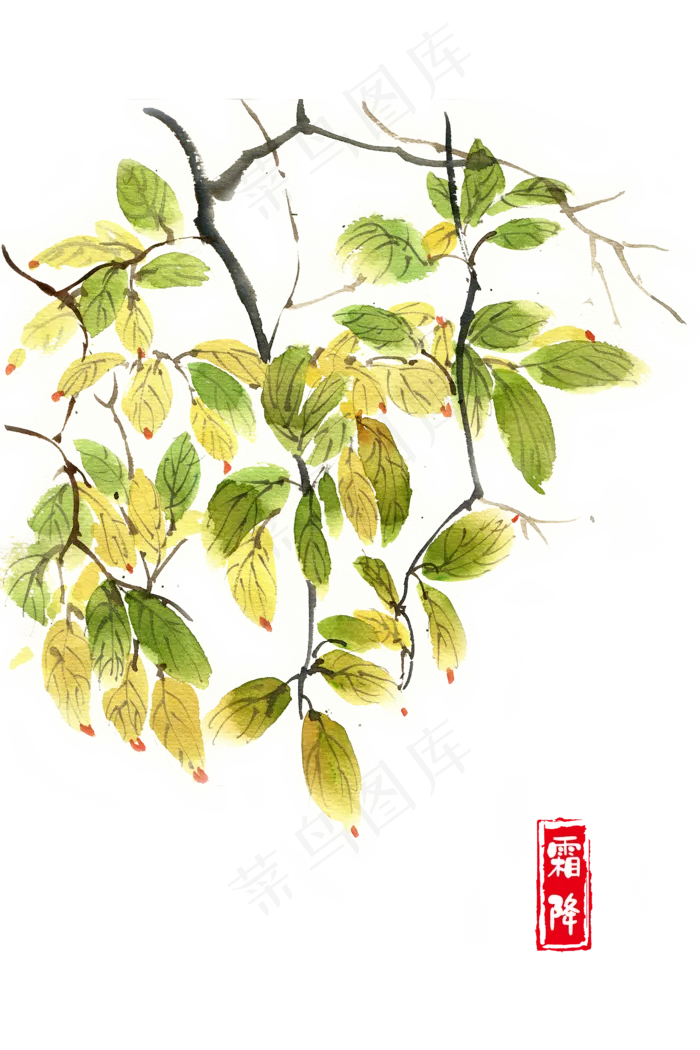 霜降秋天的叶子(4724X7087(DPI:300))psd模版下载