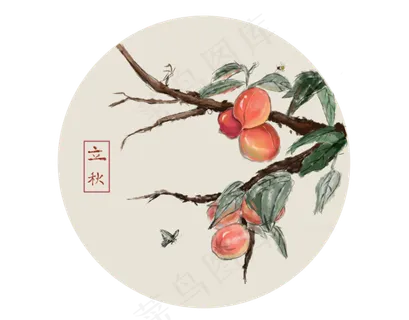 24节气立秋桃子水墨画,免抠元素 24节气立秋桃子水墨画,免抠元素