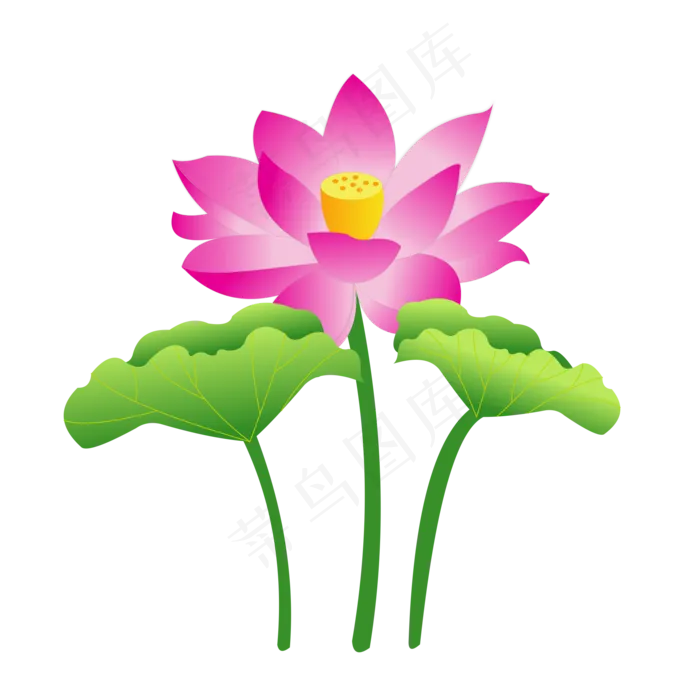 荷花莲花荷叶(2000X2000(DPI:300))cdr矢量模版下载