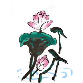 手绘荷花荷叶中国风