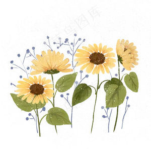水彩太阳花