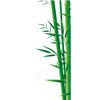 绿色的竹子植物