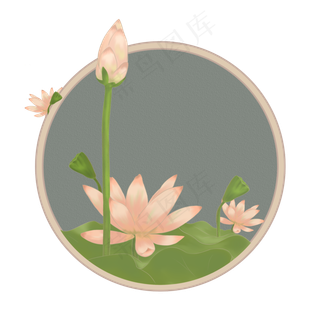 春夏盛开的荷花手绘小清新