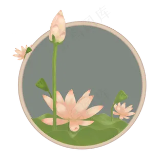 春夏盛开的荷花手绘小清新