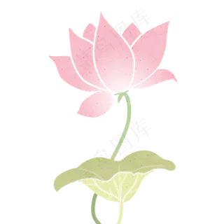 荷叶荷花设计图腾中国风