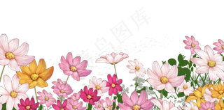 粉红色黄色可爱花丛花朵