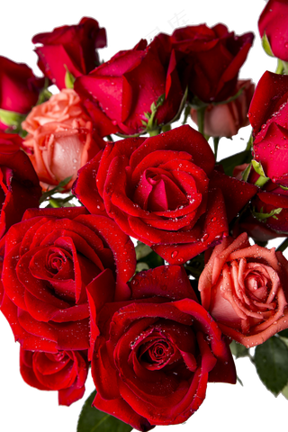 红色玫瑰花束