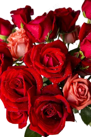 红色玫瑰花束