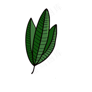 绿色树叶装饰免抠插图