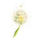 绿色树叶圆形纸灯