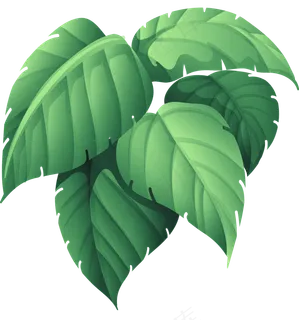 绿植大叶子热带雨林,免抠元素