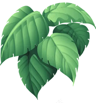 绿植大叶子热带雨林,免抠元素