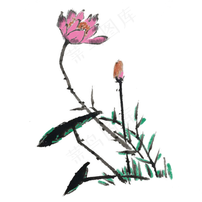 水墨荷花手绘素材(4000X4000(DPI:300))psd模版下载