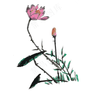 水墨荷花手绘素材