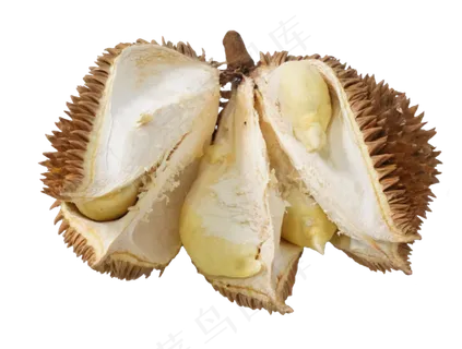 热带水果榴莲