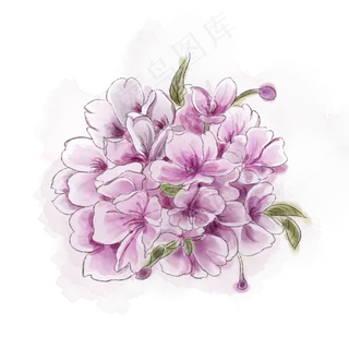 樱花唯美紫色花朵清新春天PNG,免抠元素