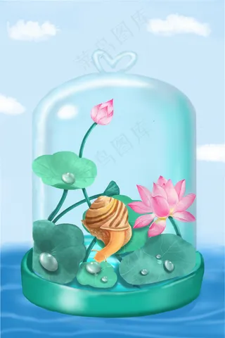 夏天荷花蜗牛治愈小清新