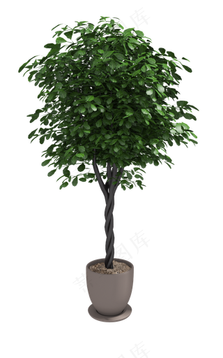 家居装饰树装饰盆栽,免抠元素